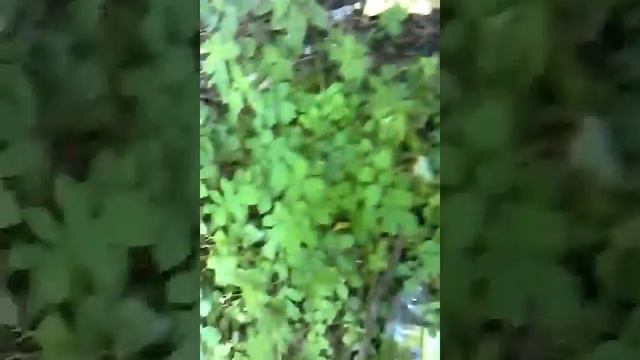 Школьники бомжи смотреть онлайн