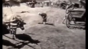 Ленинградско-Новгородская операция (14 января — 1 марта 1944)