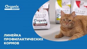 Organix Preventive Line –  линейка профилактических кормов для собак и кошек