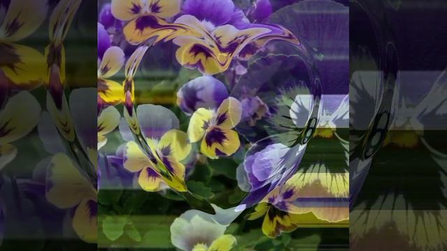 Анютины глазки© Copyright: Бронислав Сычёв, 2022
Свидетельство о публикации №122050304048 смотреть онлайн