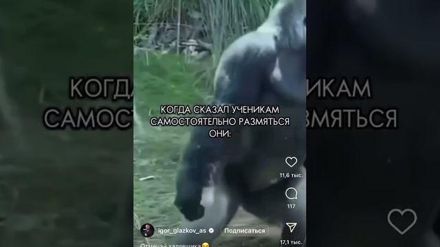 1000011190.mp4 смотреть онлайн