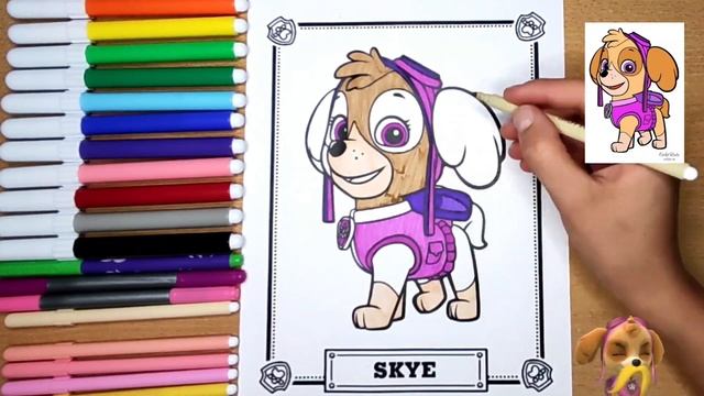 🐶 Щенячий Патруль | Скай | Раскраска щенка Скай из "Щенячий Патруль" 🚔 #скай #щенячий_патруль смотреть онлайн