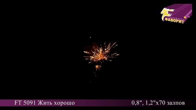 Батарея салюта "Жить хорошо" FT 5091 Омск смотреть онлайн
