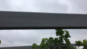 Шпалера под виноград из профильной трубы