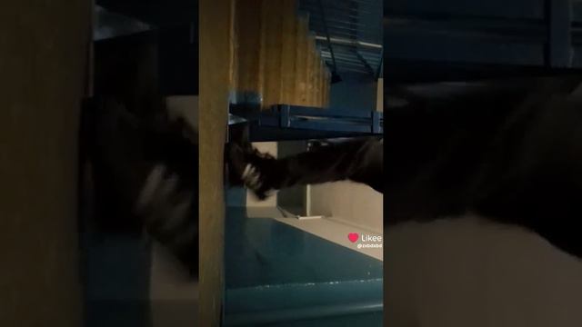 7b3acaa0-645e-4663-baca-5e11edc9131f-1_all_7108.mp4 смотреть онлайн
