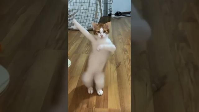 25 января 2024 г.