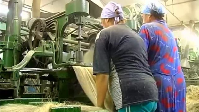 Галилео | Лён  Flax