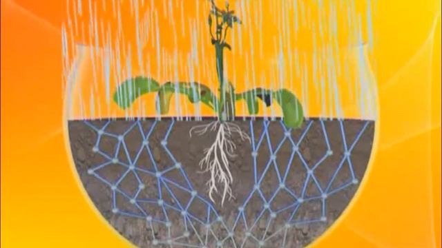 Галилео. Флорариум