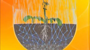 Галилео. Флорариум