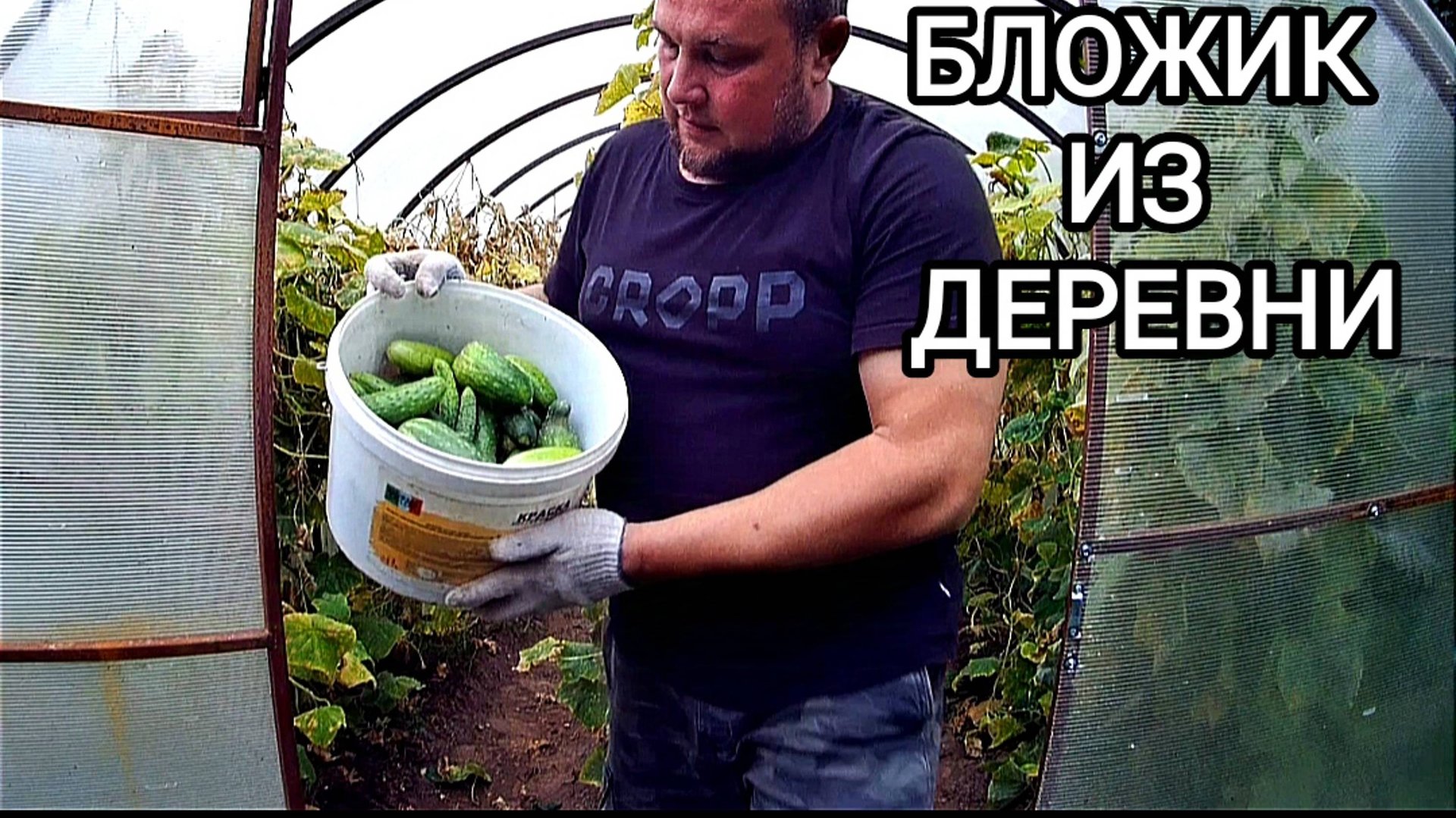 Поездка в деревню: ремонт двери, сбор огурцов и подготовка к зиме». смотреть онлайн