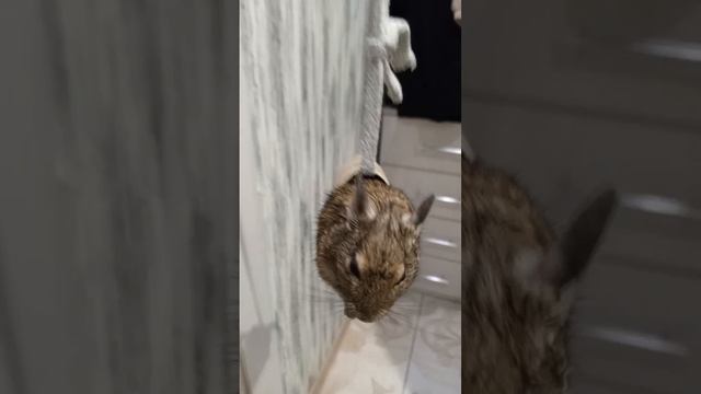 Мы кушаем смотреть онлайн