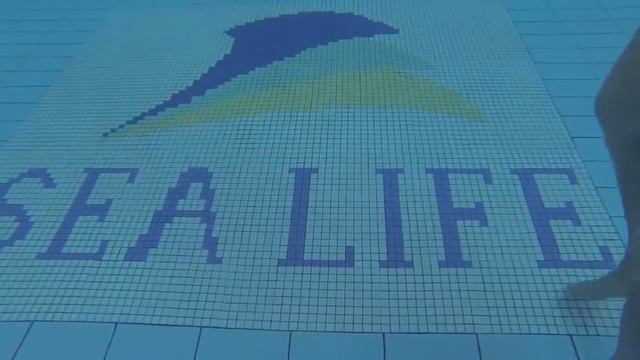 Северный Кипр район Лонг Бич смотреть онлайн