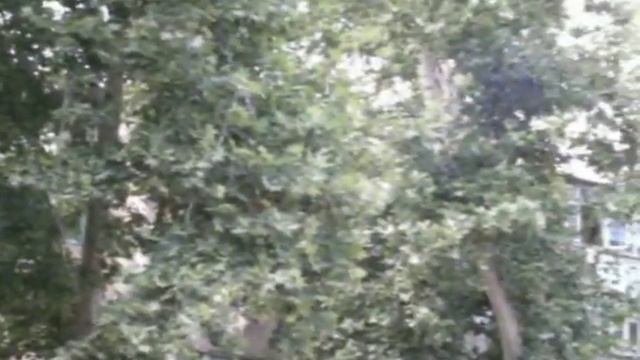 Юнусабад 13 квартал смотреть онлайн