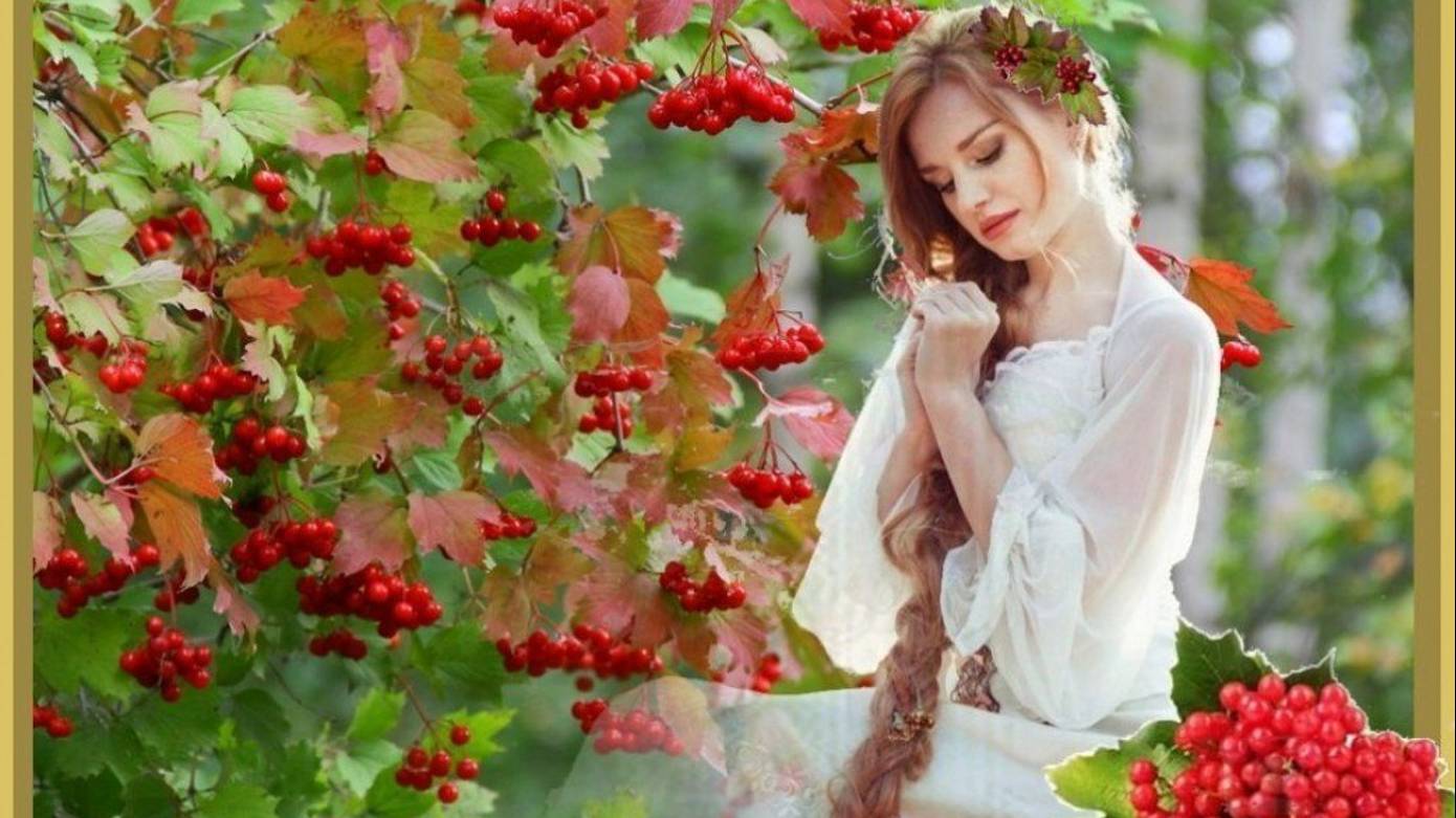 Сыплет дождик большие горошины.. Николай .Заболоцкий. смотреть онлайн