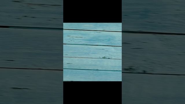 Ремонт кровли крыши 3