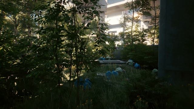 Cyberpunk 2077 Ambience - Walk in the Reconciliation Park [ 4K Ultra Max Settings - Patch 1.5 ] смотреть онлайн