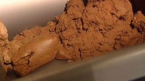 Галилео  Воздушный рис