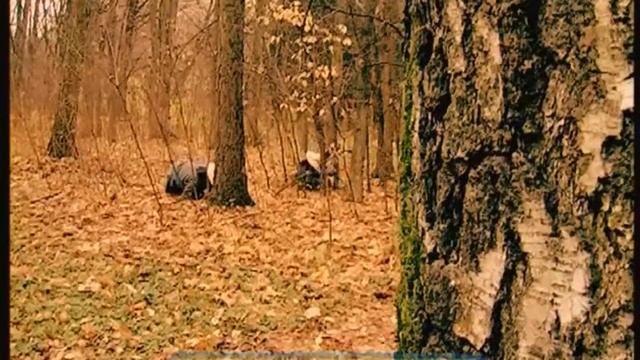 Галилео. Ниндзя ⚔ Ninja