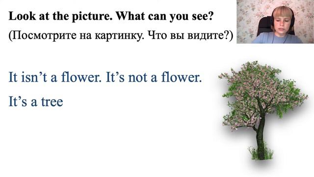 Английский язык. Уровень A1. Урок 12. Часть 1. Описание картинок. смотреть онлайн