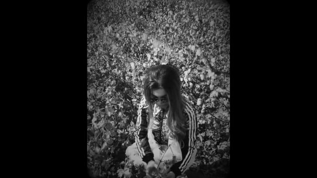 Eng Mashhur Yulduzlar Paxta Dalasida! Bunaqasini Hali Ko’rmagansiz!