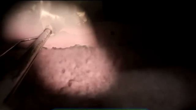 Галилео. Кисель смотреть онлайн