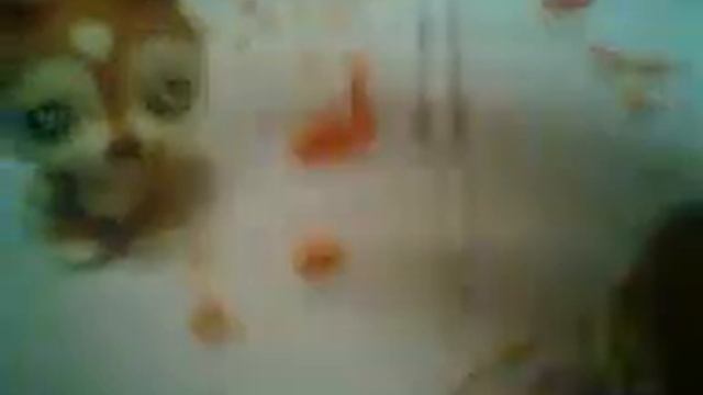 LPS;Cонная болезнь #1 (странный сон) смотреть онлайн