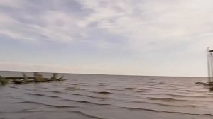 Галилео  Как выращивают устриц?