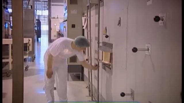Галилео. Тостовый хлеб смотреть онлайн