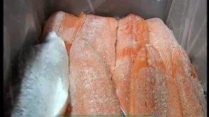 Галилео. Чистка рыбы  Fish cleaning