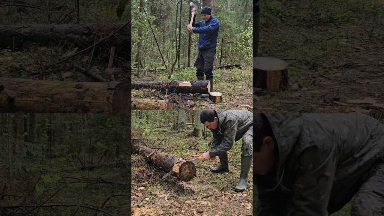 Топор против пилы. Что быстрее? смотреть онлайн