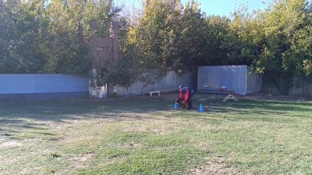 1 Оч/хор De Orse Mak Flai ZHITAN им №13 / КЧК РОСТОВ-НА-ДОНУ 29 сентября`24