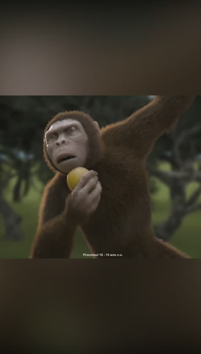 Та самая обезьяна - предок человека! Проконсул смотреть онлайн