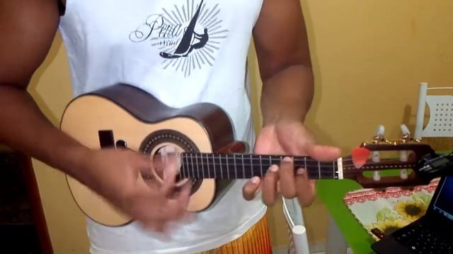 Cavaco Araújo Luthier 2012