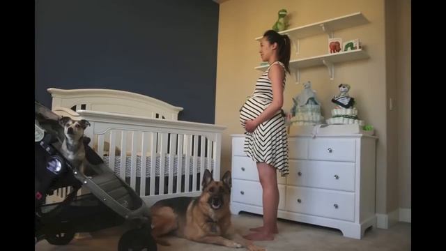 Time Lapse: Pregnant to Baby in 90 seconds. Photo a day. (Part 1 of 2) смотреть онлайн