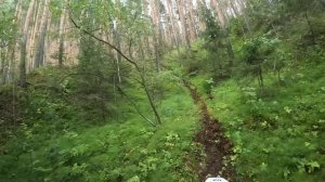 Мантуров камень #2 03-08-2024