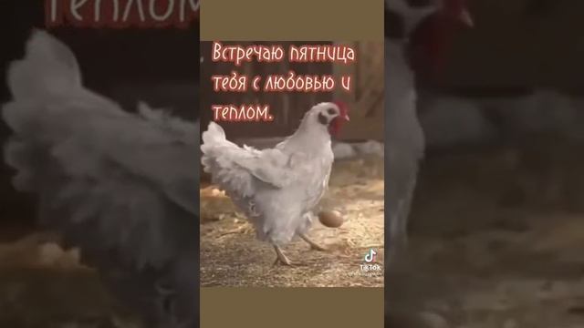 Сегодня пятница ураааа.