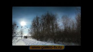 Галилео.  Русская тройка против упряжки собак