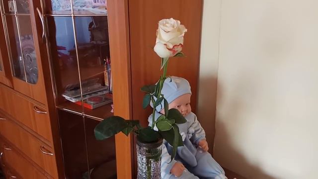 Роза .Обычная роза- если бы вы знали что она для меня значит. смотреть онлайн