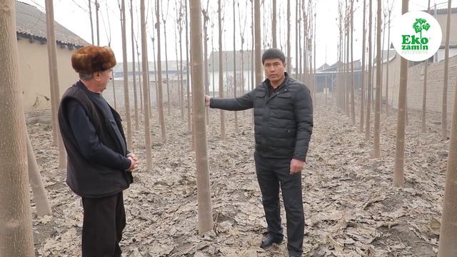 Харидорларимиз натижалари! смотреть онлайн