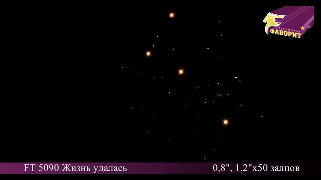 Батарея салюта "Жизнь удалась" FT 5090 Омск смотреть онлайн
