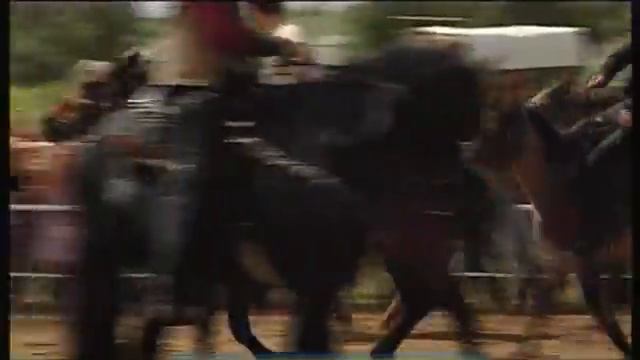 Галилео. Родео Rodeo смотреть онлайн