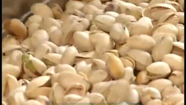 Галилео. Орехи смотреть онлайн