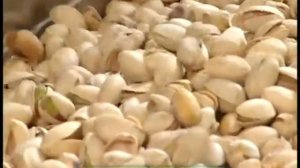 Галилео. Орехи