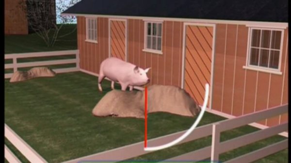 Галилео. Свиноспорт