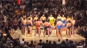 Галилео | Сумо  [Sumo]