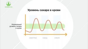 Белок – основа сбалансированного питания человека