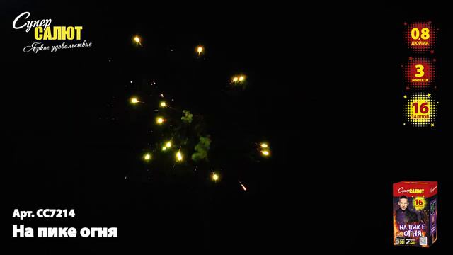 Салют “На пике огня” 0.8″х16 арт. С7214
Салютыч смотреть онлайн