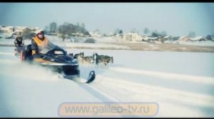 Галилео. Снегоход против собак