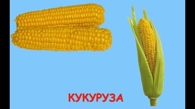 Учим овощи для детей 1-3 года, Первые слова для малыша в картинках, развивающее и обучающее видео смотреть онлайн