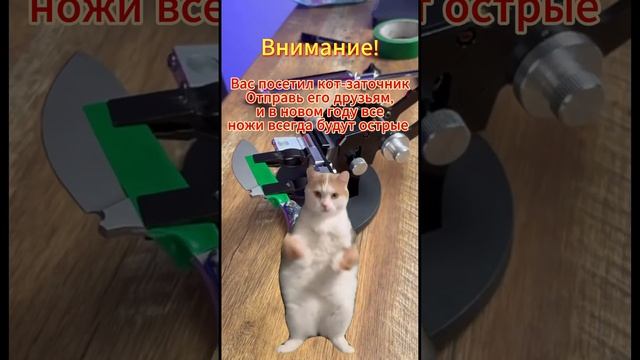 Котички - ножички смотреть онлайн